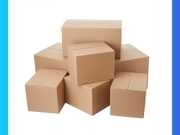 Hộp Giấy Carton 