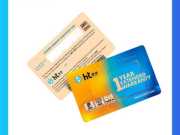 In Thẻ Bảo Hành - Warranty Cards