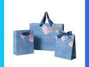 Túi Giấy Dây Ruy Băng