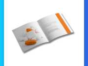 Brochure Thuốc