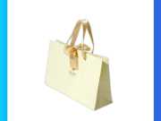 Túi Giấy Dây Ruy Băng