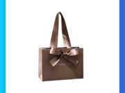 Túi Giấy Dây Ruy Băng