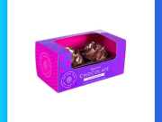 Mẫu Hộp Giấy 2 Ngăn