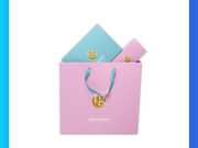 Túi Giấy Màu Hồng 