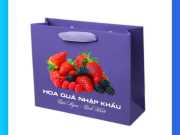 Túi Giấy Đựng Trái Cây 