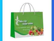 Túi Giấy Đựng Trái Cây 
