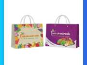 Túi Giấy Đựng Trái Cây 