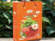 Hộp Giấy Đựng Lạp Xưởng