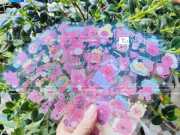 Sticker Trong Suốt