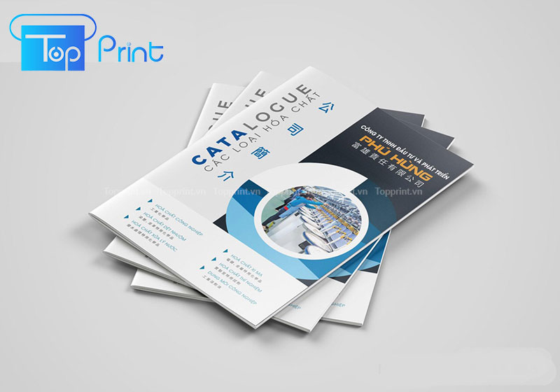 in catalog giá rẻ tại hcm