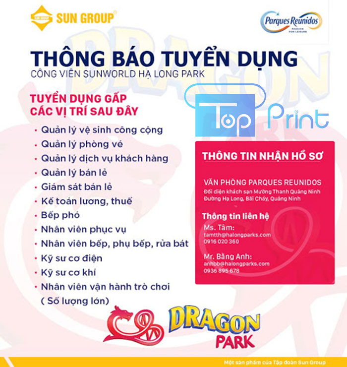 mẫu tuyển dụng
