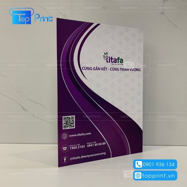 Xu hướng thiết kế Chữ trên Brochure