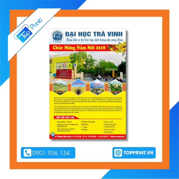 Mẫu tờ rơi tuyển sinh đại học ấn tượng