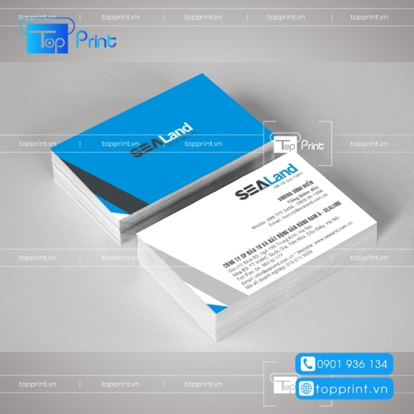 Mẫu danh thiết bđs đẹp