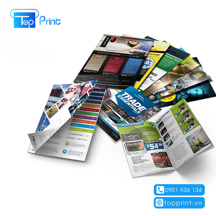 in catalogue binh duong