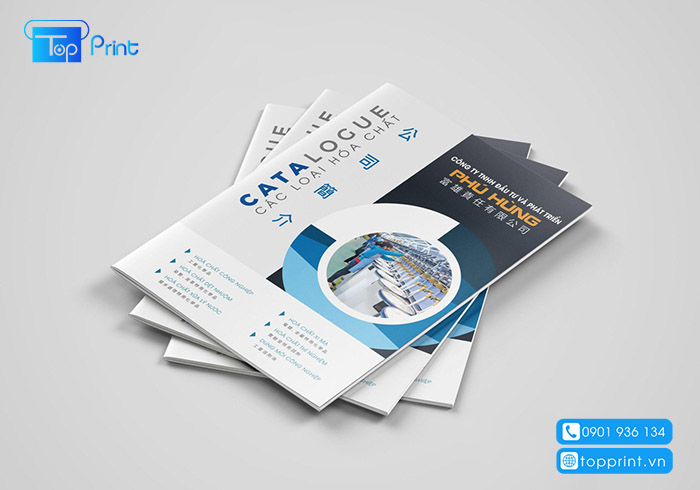 Tổng hợp mẫu in catalogue tại Bình Dương đẹp