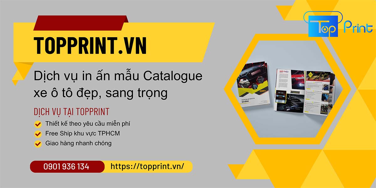 Thông tin liên hệ in mẫu catalogue xe ô tô giá rẻ