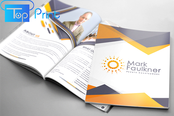 Mẫu sách tài liệu nội bộ