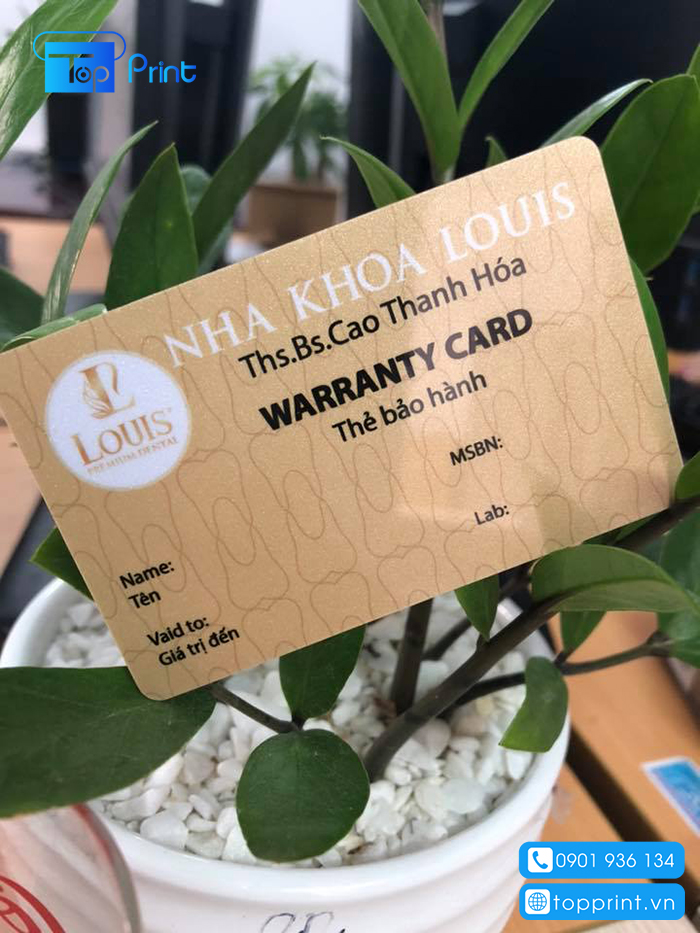 Mẫu Warranty cards đẹp