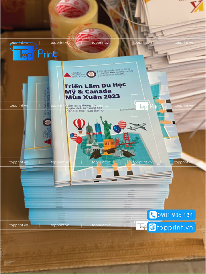 catalogue giao duc
