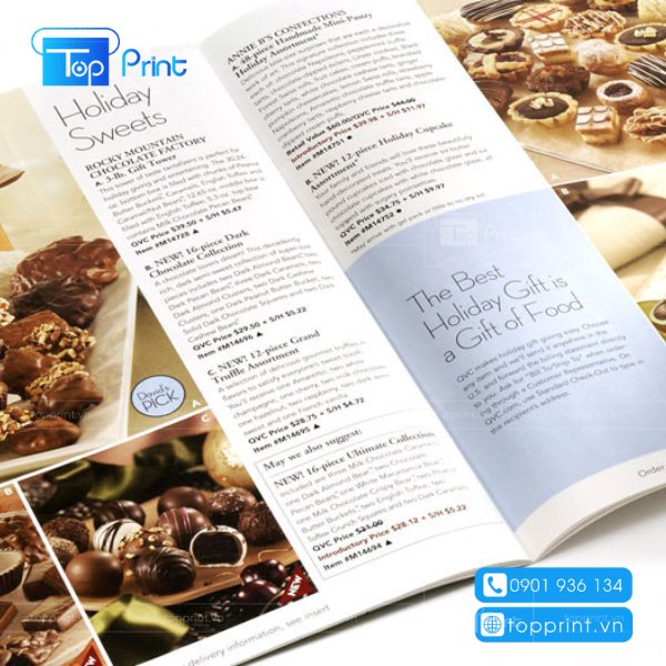 Mẫu catalogue giới thiệu bào bì sản phẩm giá rẻ tphcm