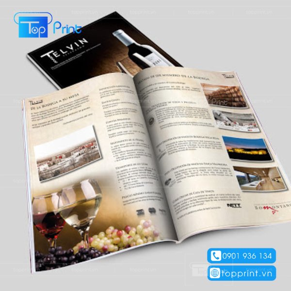 Mẫu catalogue giới thiệu bào bì sản phẩm giá rẻ tphcm