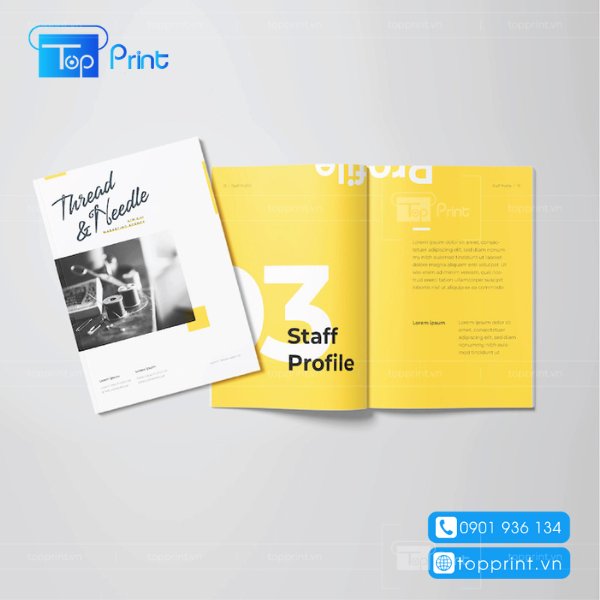 Mẫu catalogue giới thiệu bào bì sản phẩm giá rẻ tphcm