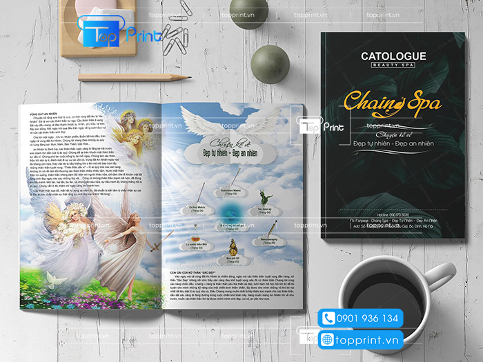 catalogue my pham pdf