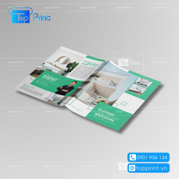 Mẫu brochure bđs giá rẻ
