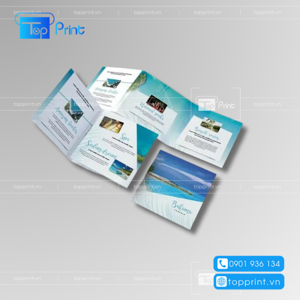 Mẫu brochure bất động sản ấn tượng