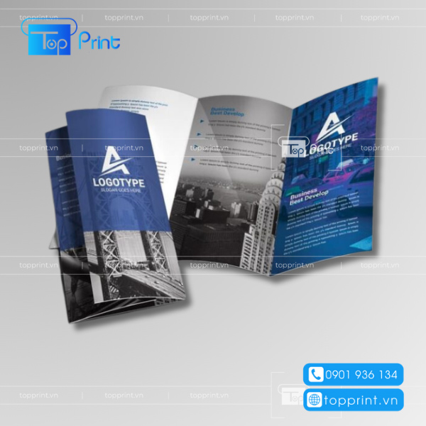 Mẫu brochure bất động sản Vibrant Color