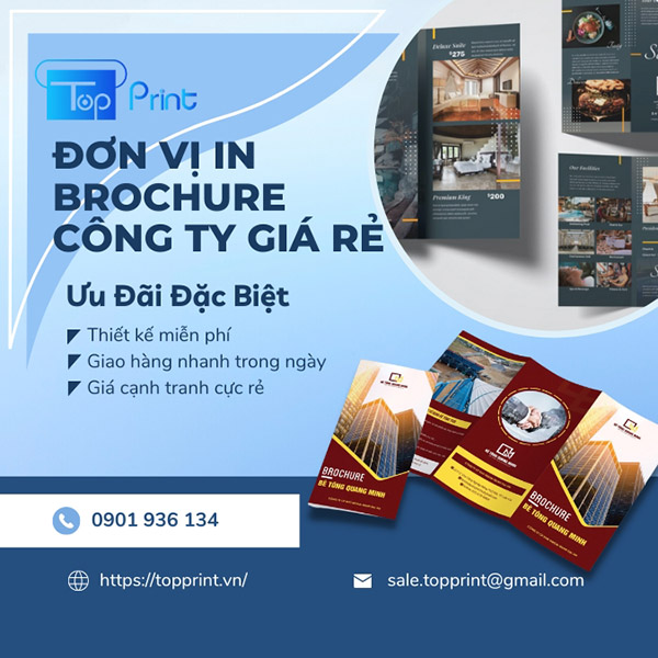Công ty chuyên thiết kế brochure chuyên nghiệp giá rẻ TOPRINT