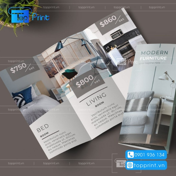 Mẫu brochure công ty xây dựng nội thất