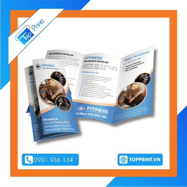 Mẫu brochure FITNESS and GYM