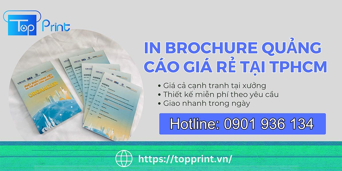 in Brochure quảng cáo giá rẻ