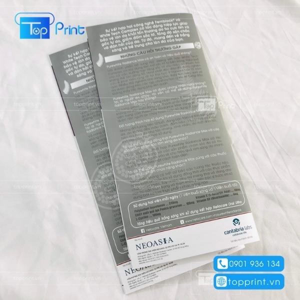 Mẫu Brochure Vibrant Color