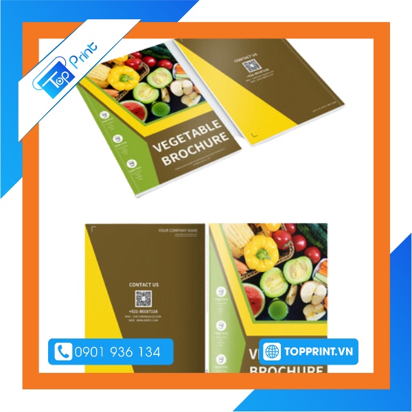 Mẫu brochure trái cây khô dẻo