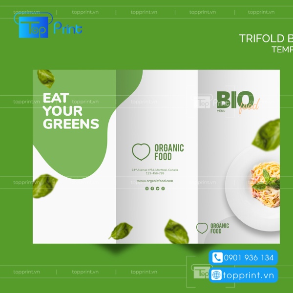 Mẫu brochure hoa quả đẹp mắt