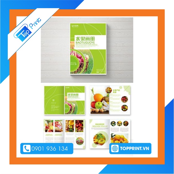 Mẫu brochure các loại trái cây đẹp