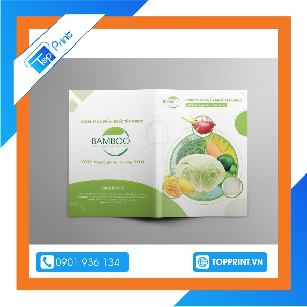 Mẫu brochure trái cây xuất khẩu
