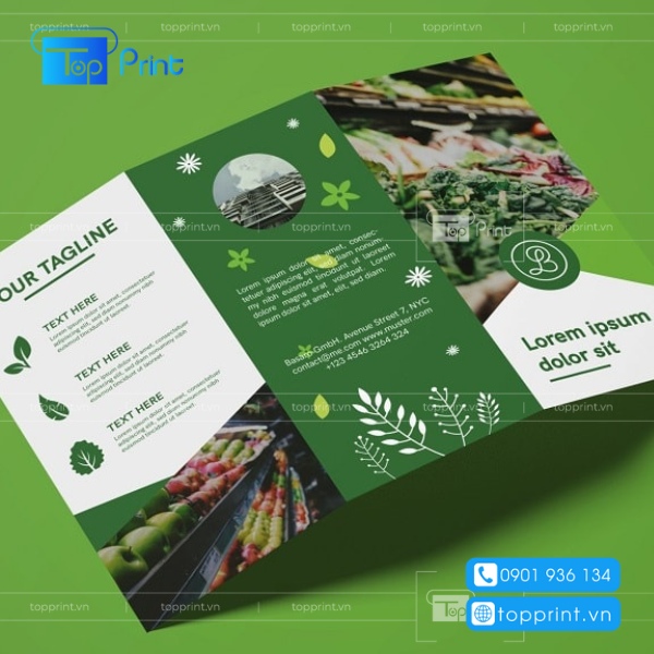 Mẫu brochure trái cây đẹp, độc đáo