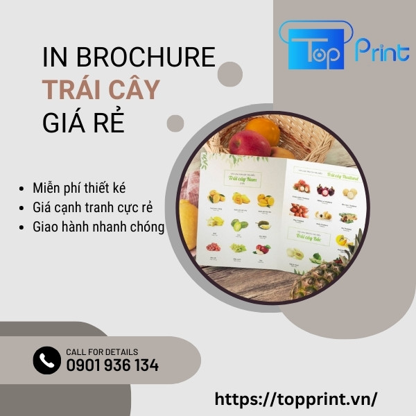 Thông tin cơ sở in brochure trái cây giá rẻ uy tín chất lượng - Topprint