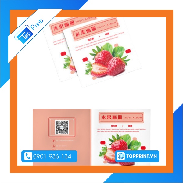 Brochure trái cây - Dâu