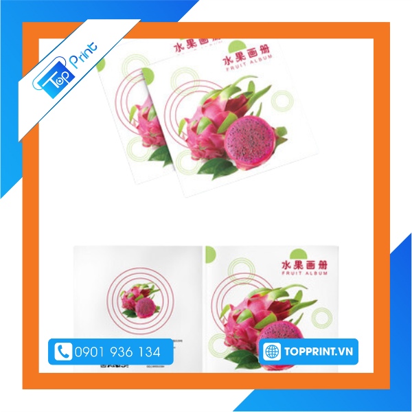 Mẫu brochure trái cây - Thanh long