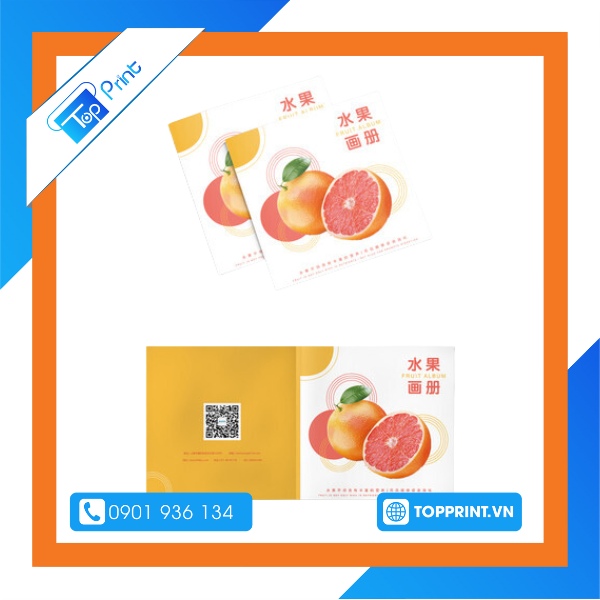 Mẫu brochure trái cây - Cam