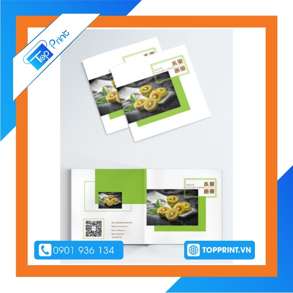 Brochure trái kiwi