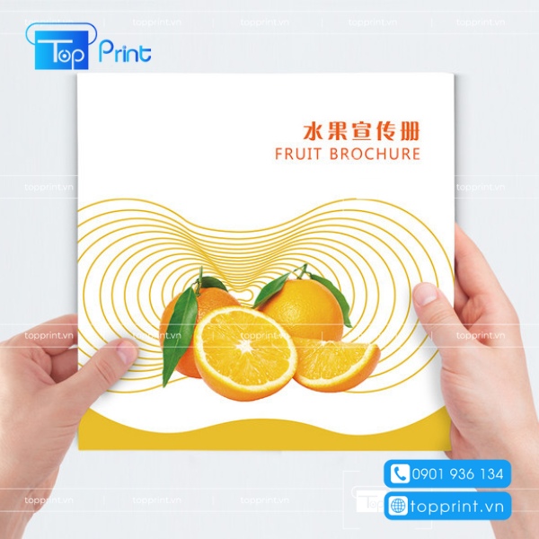 Brochure trái cây chuyên nghiệp
