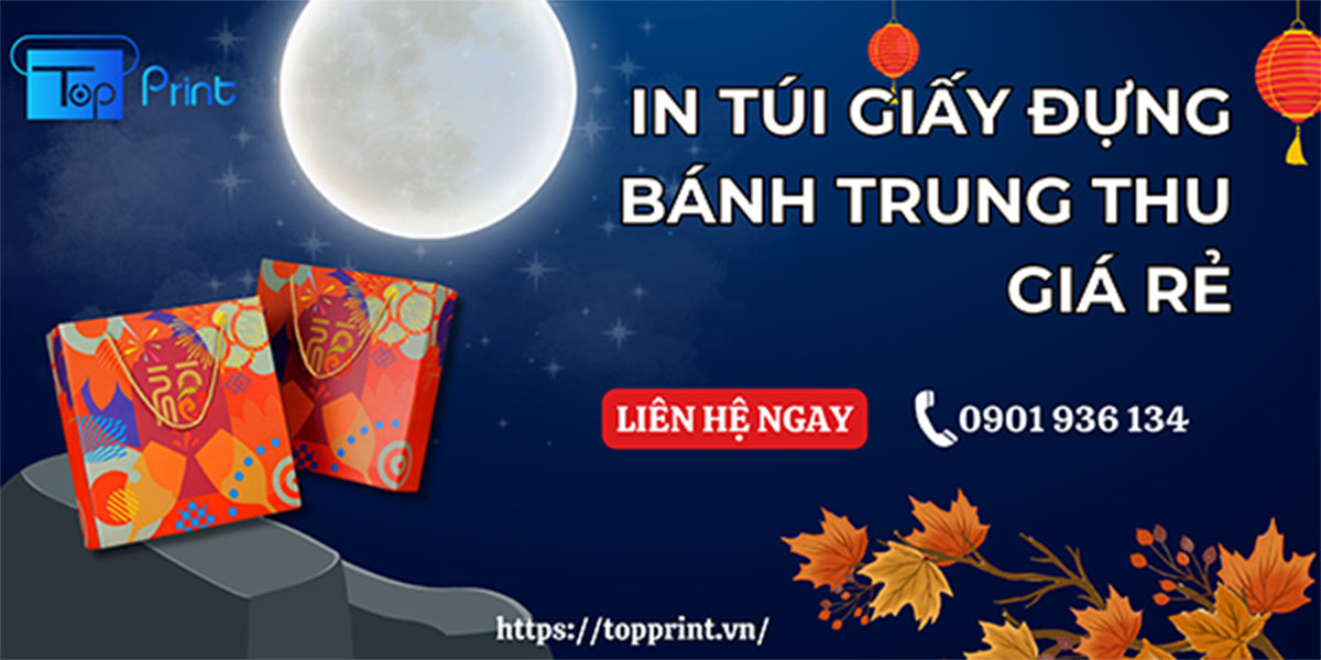 Cơ sở in túi giấy đựng bánh trung thu giá rẻ tại TPHCM và Hà Nội