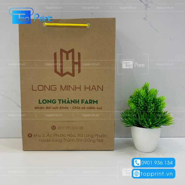 Túi giấy giúp bảo quản rau củ quả