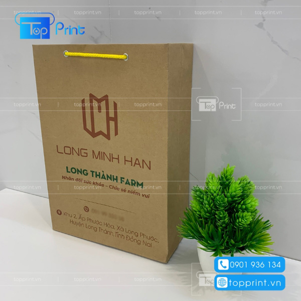 In túi giấy đựng rau củ quả theo yêu cầu